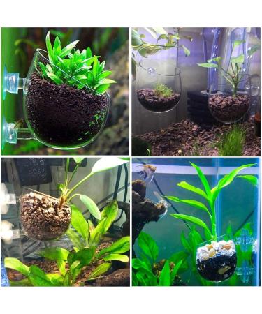 Capetsma Crystal Glass Aquatic Plant Pots - 2 Pack Aquarium Planter for Red Shrimp, Live Plants, Fish Tank - Suction Cups for Aquascape Decoration - Buy Online on GoSupps.com