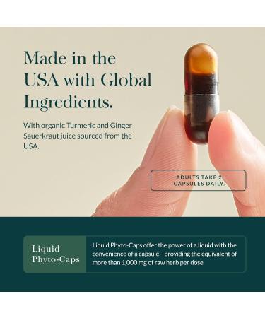 Gaia Herbs Ginger-Turmeric Postbiotic - Premium Digestive Support Supplement for Gut Health - Made with Fermented Turmeric & Ginger - Free from Dairy Soy & Gluten - 60 Vegan Capsules (30 Servings) - Buy Online on GoSupps.com