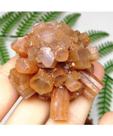 Natural Crystal Rough Natural Crystal Rough 1pc Natural Rare Red Aragonite Quartz Crystal Cluster Ornaments Rough Stone Cluster Specimen Home Decor (Color : As Shown Size : 60-70g) 60-70g As Shown - Buy Online on GoSupps.com
