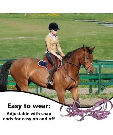 Adjustable Horse Halter | Heavy Duty Chin and Throat Snap Halter Horse - Comfortable Padded Nylon Horse Halter for Training Equestrian Grooming Lambo Purple - Buy Online on GoSupps.com