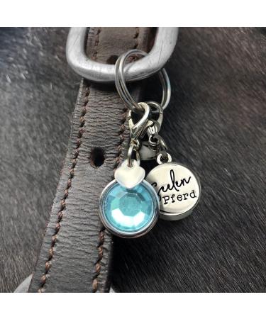 Buy Soulhorse Bridle Trenser & Lucky Charm Keychain for Horses - Turquoise Charm with Artificial Stone - Perfect for Trailer & Pony - Buy Online on GoSupps.com
