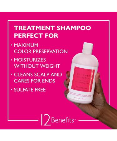 12 Benefits Treatment Shampoo Hydrating Scalp Treatment Gentle Effective Cleanse Sulfate-Free Shampoo for Dry Damaged and Color-Treated Hair 16 Fl Oz (480 ML) 16.9 Fl Oz (Pack of 1) - Buy Online on GoSupps.com