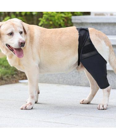 Dog Knee Brace Oxford Cloth Breathable Elastic Dog Leg Brace for Pain Relief (M) - Buy Online on GoSupps.com