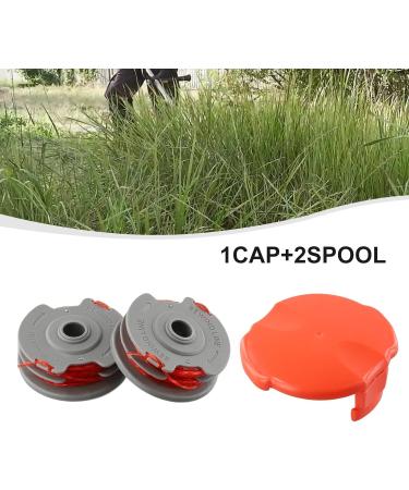 Provisional Dentures for Men & Women | Natural Appearance & Comfortable Fit | Enhance Your Smile with Tooth Veneers - Buy Online on GoSupps.com