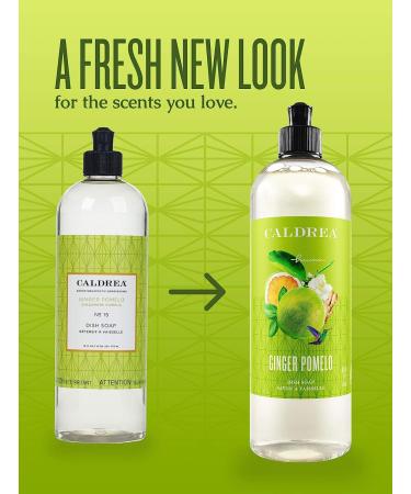 Caldrea Biodegradable Dish Soap 16 oz | Soap Bark & Aloe Vera | Ginger Pomelo Scent - Buy Online on GoSupps.com