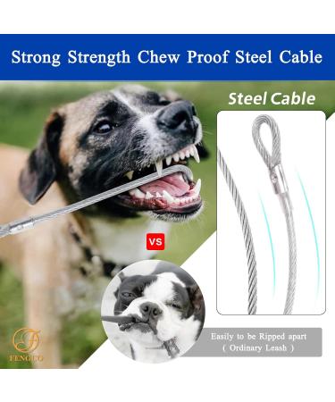 Waterproof Dog Leash - Chew Proof Tie-Out & Training Leash (3m Blue) - Durable & Weather-Resistant - Buy Online on GoSupps.com