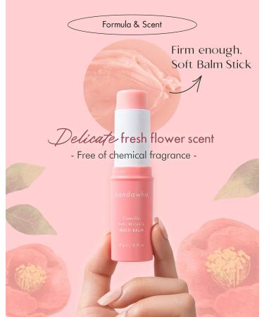 SKINCURE Camellia Anti-Wrinkle Multi Balm - Hydrating Korean Face Neck & Eye Cream with Shea Butter & Extract | 0.4 oz - Buy Online on GoSupps.com