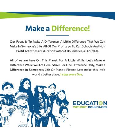 Andy Anand Sugar Free New York Cheesecake 9 - Gourmet Gift with Greeting Card for Special Occasions (2 lbs - Buy Online on GoSupps.com