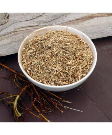 Naturix24 Naturix24 Nettle cut - Bag (1 x 1 kg)