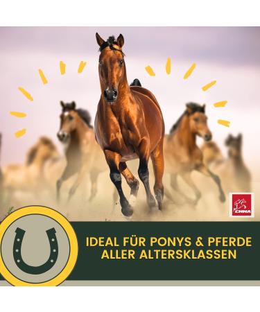 MSM Horse & Willow Bark Horse I MSM Liquid Horse I Equi P Pate Tendons Ligaments I Collagen Horse I MSM Horse Food Glucosamine Chondroitin - Flexible Joints + Vitamin 1 L 30 ml - Buy Online on GoSupps.com