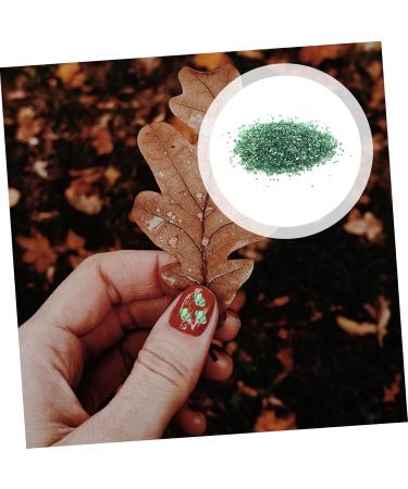 Anneome 1 Glass Chip Nail Crushed Glass Epoxy Filling Shiny Nail Stickers DIY Glass Fillers Epoxy Charms Nail Art Rhinestones Manicure Charm Nail Art Accessories Manicure Fillers 0.5X0.3cm Green - Buy Online on GoSupps.com