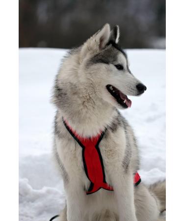 Northern Howl X-Back Dog Harness - XL Red for Canicross Bikejoring Skijoring & Dogscooting - International Shipping Available - Buy Online on GoSupps.com