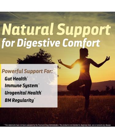 Dr s Hope Lactobacillus Acidophilus 1B CFU Probiotics for Digestive Health - Supports Digestive Health Immune Function and Overall Gut Health - 120 Veggie Capsules Made in The USA - Buy Online on GoSupps.com