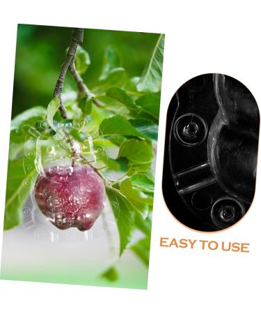 ORFOFE 2pcs Shaped Growth Fruit Buddha Baby Shaper Small Watermelon Accessories - Buy Online on GoSupps.com