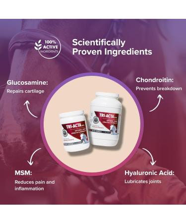 Integricare - Tri-Acta H.A. Maximum Strength Equine Formula All-Natural Horse Joint Supplement with Glucosamine Chondroitin Hyaluronic Acid and Msm for Horses 3kg - Buy Online on GoSupps.com
