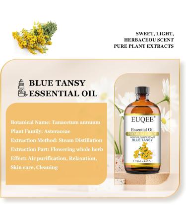 EUQEE Blue Tansy Essential Oil 118ml - Pure Natural Aromatherapy Oil for Diffusers, Home Humidifiers, Relaxation - 1 Pack - Buy Online on GoSupps.com