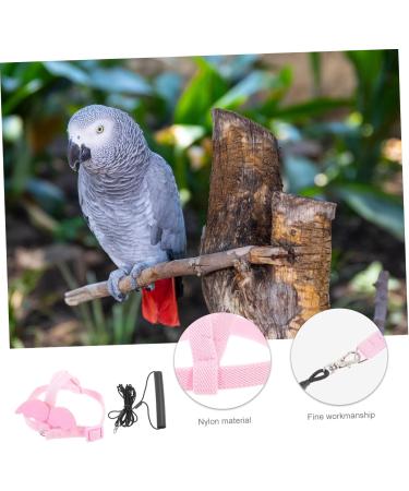 Beavorty 4 Sets Bird Leash Suspend Bird Training Bird Flying Harness Bird Harness Leashes Vest Clothing 12X6X1.3CMx4pcs Pinkx4pcs - Buy Online on GoSupps.com