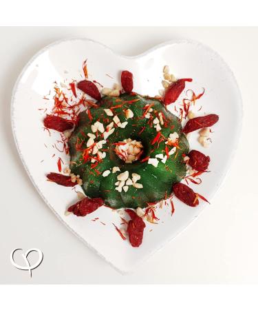 Golden Peanut Chlorella 1kg - 100% Raw Bio Chlorella Powder | Broken Cell Walls EU Organic Standard | Perfect for Green Smoothies - Buy Online on GoSupps.com