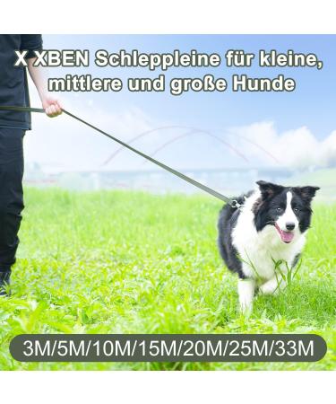X XBen 30m Dog Tow Line - Robust Leash with Lockable Carabiner | Reflective Training Line for Medium & Large Dogs - Convenient Hand Loop Green - Buy Online on GoSupps.com