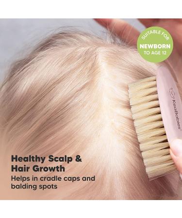 Soft Goat Bristle Baby Hair Brush for Infant, Toddler, Kids - Gentle Cradle Cap Brush - Scalp Grooming Product (Blush, Oval) - Buy Online on GoSupps.com