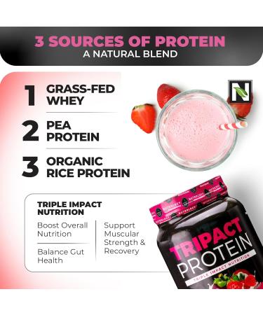 Nutrology TRIPACT Protein Powder 7-in-1 Meal Replacement Shake Superberry (40 Servings) Greens & Fruits Powder-Naturally Sourced Superfood Vanilla Cinnamon (30 Servings) - Buy Online on GoSupps.com