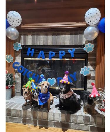 Cute Dog Party Hat Pet Cap 6 Pack - Puppy Cone Hats for Dogs & Cats - Birthday Holiday Festival Accessories - Buy Online on GoSupps.com