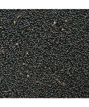 rohstoffpost Rapeseed 5 kg Rapeseed Rapeseed for Heat Pads Rapeseed Pillow Heat Therapy Black