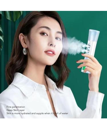 Nano Facial Steamer Water and Oil Test ABS Dual Head Nano Face Sprayer LCD Screen Display for Home - Buy Online on GoSupps.com