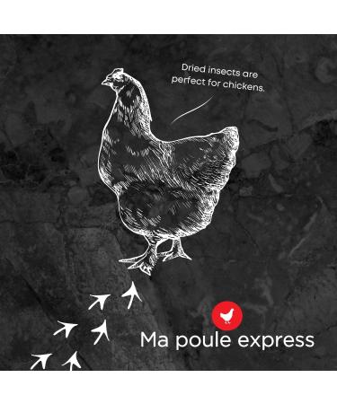 Premium Dried Mealworms & Fly Larvae Mix for Chickens and Wild Birds 5 LBS (2.25 KG) - Ma Poule Express - Buy Online on GoSupps.com