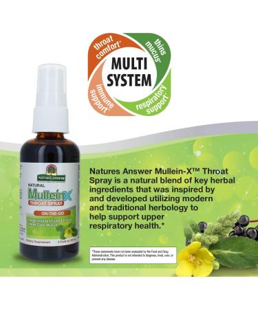 Mullein-X Throat Spray 2fl oz | Soothes Throat & Clears Mucus | Gluten-Free, Non-GMO, Vegetarian | Natural Peppermint Flavor - Buy Online on GoSupps.com