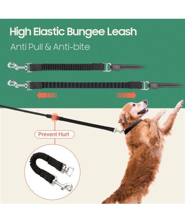 Happy & Polly Dog Leash Retractable Dog Leash Heavy Duty 5M Dog Walking Leash with Flashlight Detachable/Protective Bungee Leash/Magic Box Dispenser Poop Bags for Small Medium Dogs (Green) Green 16.4ft - Buy Online on GoSupps.com