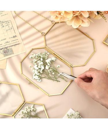 Dried Ivory White Babys Breath Flowers Bouquet - 50 Pcs | Real Gypsophila Branches for Wedding Decor, Resin Art, DIY Crafts - Buy Online on GoSupps.com