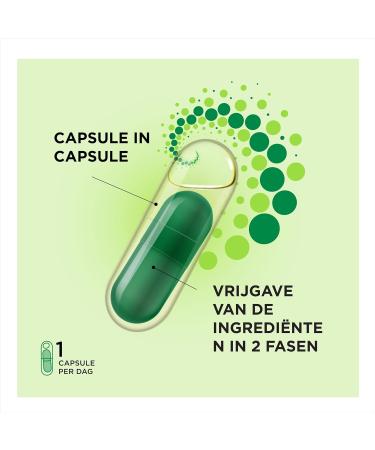 ProCombo Synbiotic - Double Capsule & Liquid Formula for Quick Results | 1 Capsule Daily | International Shipping Available - Buy Online on GoSupps.com