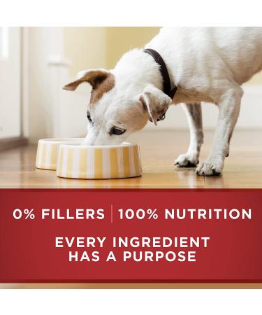 Purina ONE Dog Food 13oz Variety Pack - Pack of 6 | Balanced Nutrition for Dogs - Buy Online on GoSupps.com