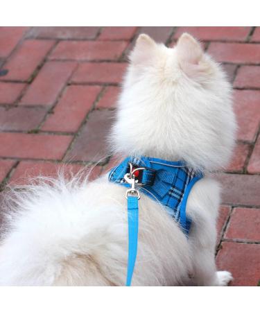 Suredoo Dog Harness for Small Dogs with Leash - Reflective Breathable Anti-Training - Blue Checked (M) | Perfect for Small & Medium Breeds - Buy Online on GoSupps.com