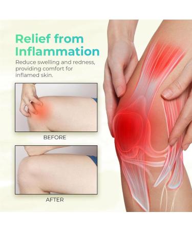 Organic H Erbal Salve Joint Relief Cream Muscle Recovery Balm Fast Absorbing & Nongreasy Formula 114g for Knee Ankle Neck Back Feet Leg Body Skin Use - Buy Online on GoSupps.com