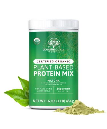 GoldenSource Proteins Matcha Plant Based Protein Powder Protein Mix Protein Powder with 22 Vitamins & Minerals 16g of Protein & Complete Amino Acid Profile Vegan Protein Powder