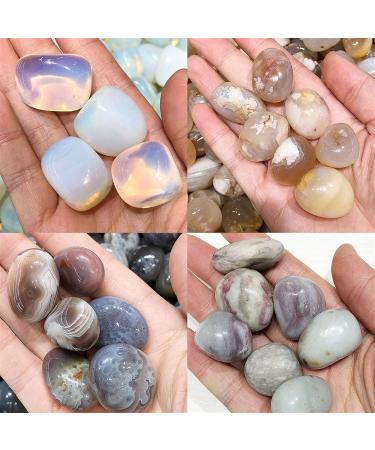 Natural Crystal Rough 1pc Irregular Polished Tumbled Stone Fish Tank Garden Aquarium Natural Quartz Crystal Home Decor (Color : Flower Agate Size : 1pc) 1pc Flower Agate - Buy Online on GoSupps.com