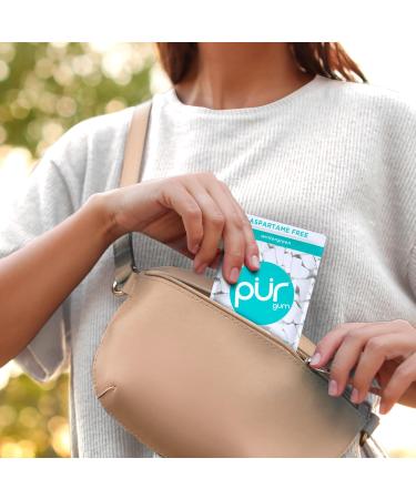 PUR GUM | Sugar-Free Vegan Chewing Gum with Xylitol | Gluten-Free Wintergreen Flavor | 55 Pieces (6-Pack) - Buy Online on GoSupps.com