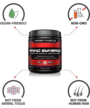 Buy Kaged Muscle Amino Synergy Raspberry Lemonade 6.74 oz | Premium Amino Acids for Recovery - Buy Online on GoSupps.com