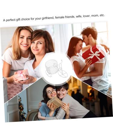 Ipetboom Iron Bicycle Hollow Wrought Iron Candy Box White - Buy Online on GoSupps.com