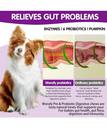 Tioueo Probiotic Digestive Chews 120pcs - Digestive Harmony, Skin Comfort, Allergy Relief, Immune Boost for Dogs - Ultimate Canine Wellbeing - Buy Online on GoSupps.com