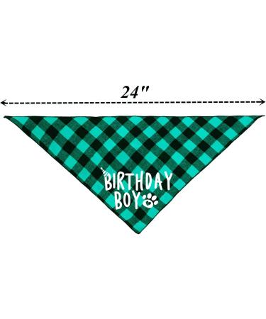 Green Birthday Boy Dog Bandana - Cute and Colorful Pet Accessory - Buy Online on GoSupps.com