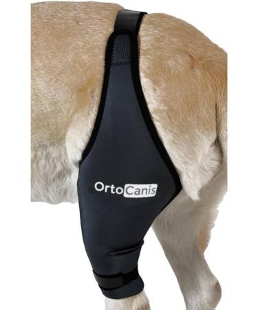 Ortocanis Knee Brace for Dogs - Right Hind Leg Size S | Cruciate Ligament Patellar Luxation & Osteoarthritis Support - Buy Online on GoSupps.com
