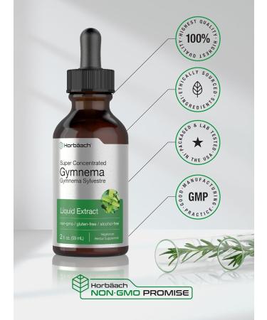 Horb ach Gymnema Sylvestre Liquid Extract | 2 fl oz | Alcohol Free Drops | Super Concentrated Supplement Tincture | Vegetarian Non-GMO Gluten Free - Buy Online on GoSupps.com