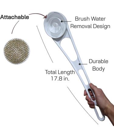 Selyback 17.8 Body Brush with Attachable Brush Cap - Boar Bristle - Water Removal Design - Buy Online on GoSupps.com