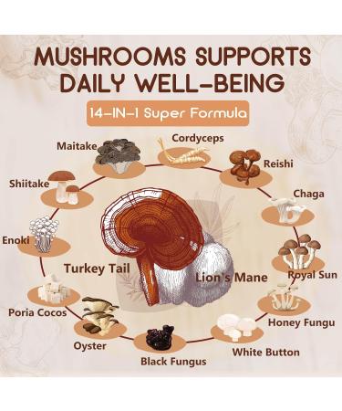 NATURE TARGET Mushroom Supplement, Mushroom Complex with Lion's Mane, Turkey Tail, Reishi, Cordyceps, Shiitake, 14-in-1 Mushrooms for Memory and Focus, 120 Capsules 120 Count (Pack of 1) - Buy Online on GoSupps.com