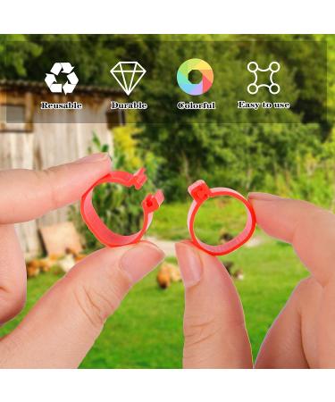 MEWTOGO 100pcs Colorful Numbered Chicken Leg Bands - Poultry Identification Rings for Birds - 16mm Size for Various Species - Buy Online on GoSupps.com