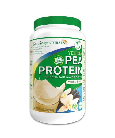 Plant Based Protein, Vanilla Gold Standard Raw Pea Protein Powder - Non-GMO, Vegan, Gluten-Free, Keto Friendly, Shelf-Stable (Vanilla Blast, 2 Pound (Pack of 1)) Vanilla Blast 2 Pound (Pack of 1)