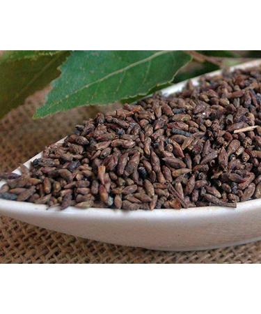 Krauterino24 Krauterino24 - Whole Birch Buttons Birch Tea (250g)